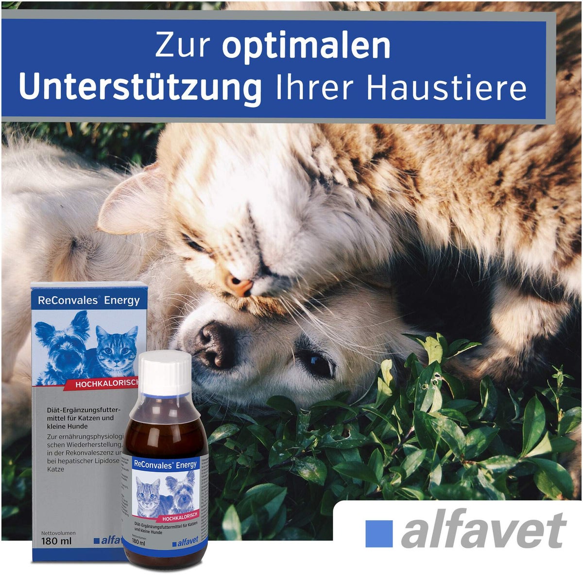 Reconvales Energy Diätergänzungsfuttermittel 180 ml Flüssigkeit für Katzen und kleine Hunde