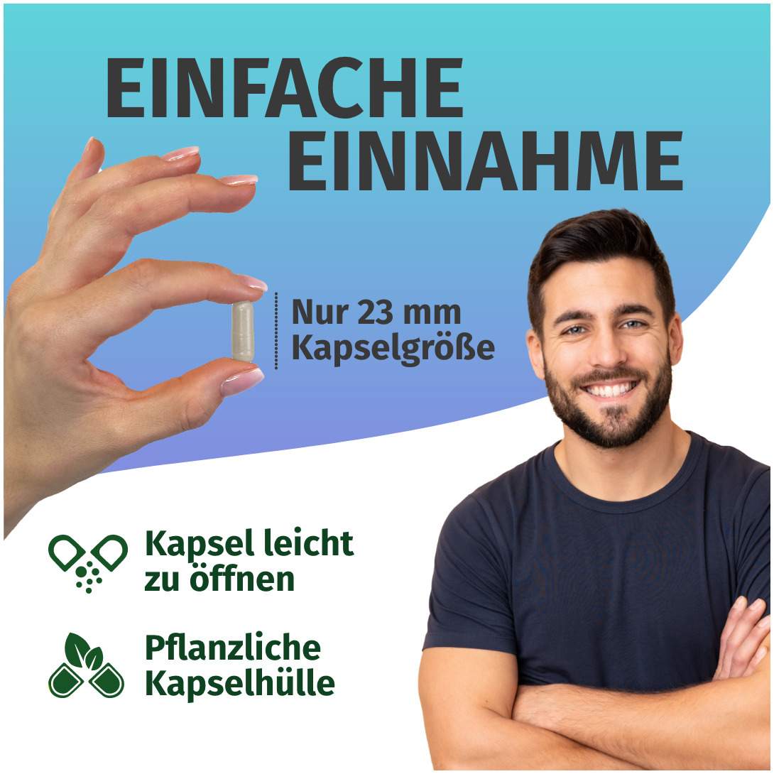 Green Naturals Jod Aus Bio-Kelp 200 µg 365 Kapseln