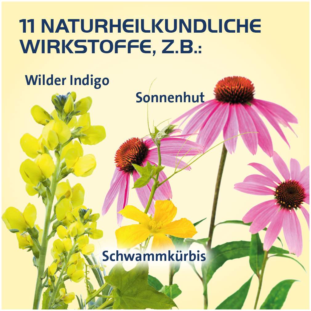 Sinusitis Hevert 40 Tabletten