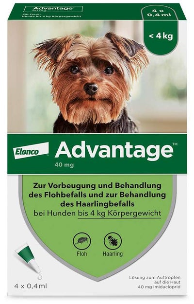 Advantage 40 Lösung für Hunde bis 4 kg 4 Einzeldosispipetten
