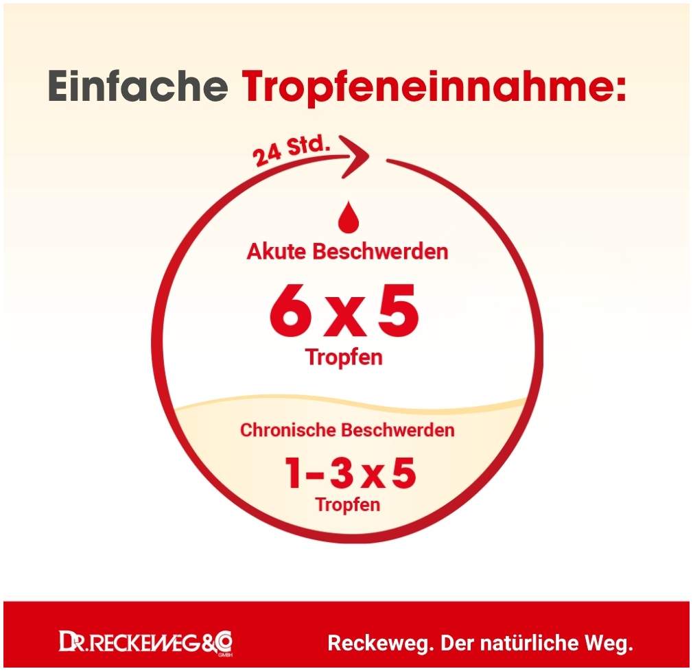 Haut Gastreu R60 Tropfen zum Einnehmen