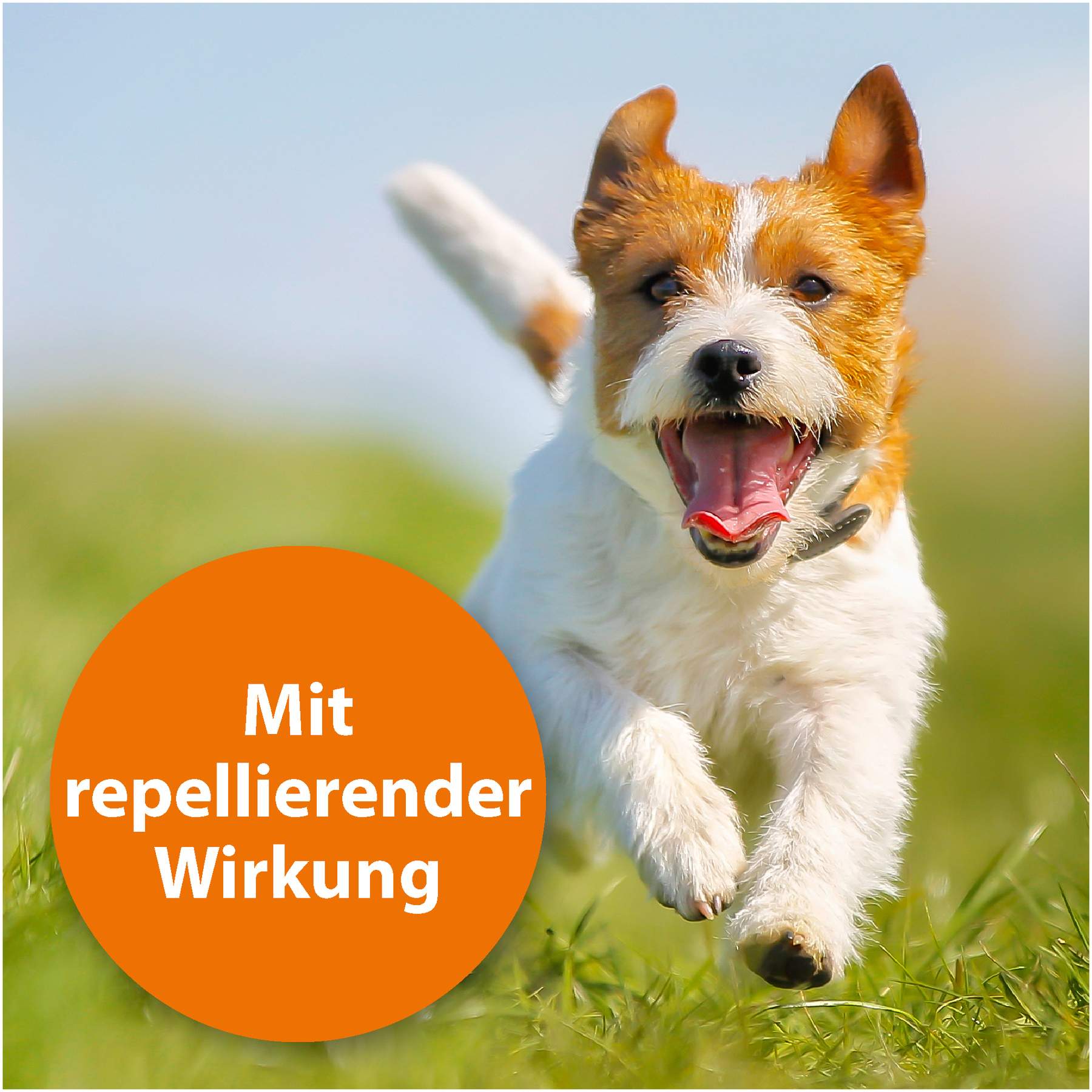 Ardap Zecken-Und Floh-Puder Für Hunde und Katzen 150 G