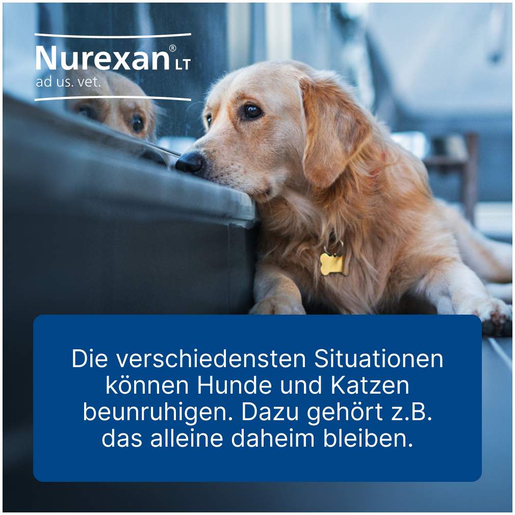 Nurexan Lt Ad Us.Vet. 500 Tabletten