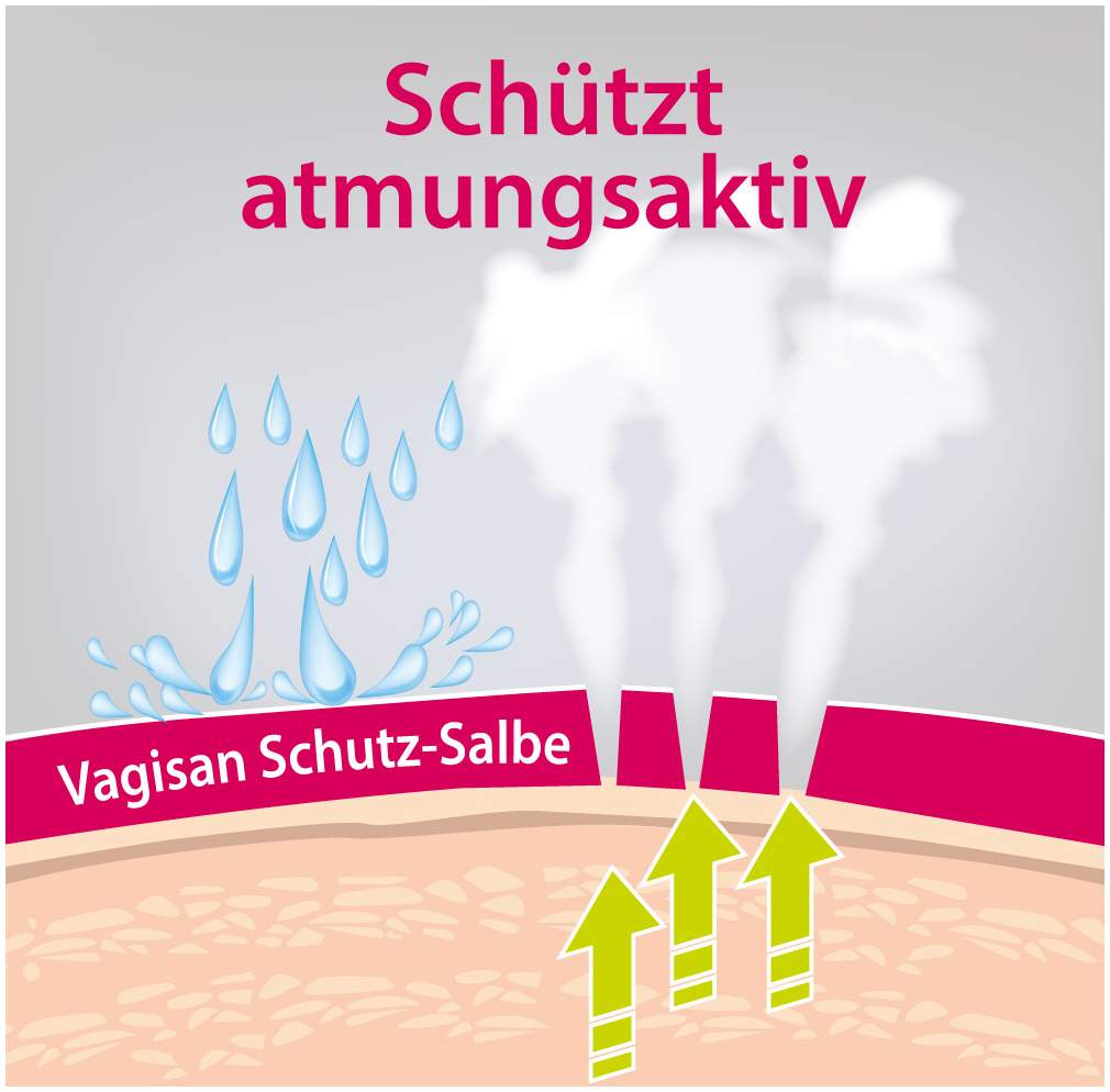 Vagisan Schutz Salbe 75 ml