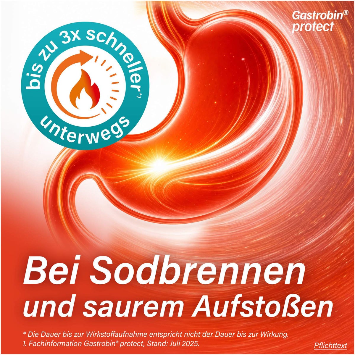 Gastrobin protect 20 mg Hartkapseln 14 Stück