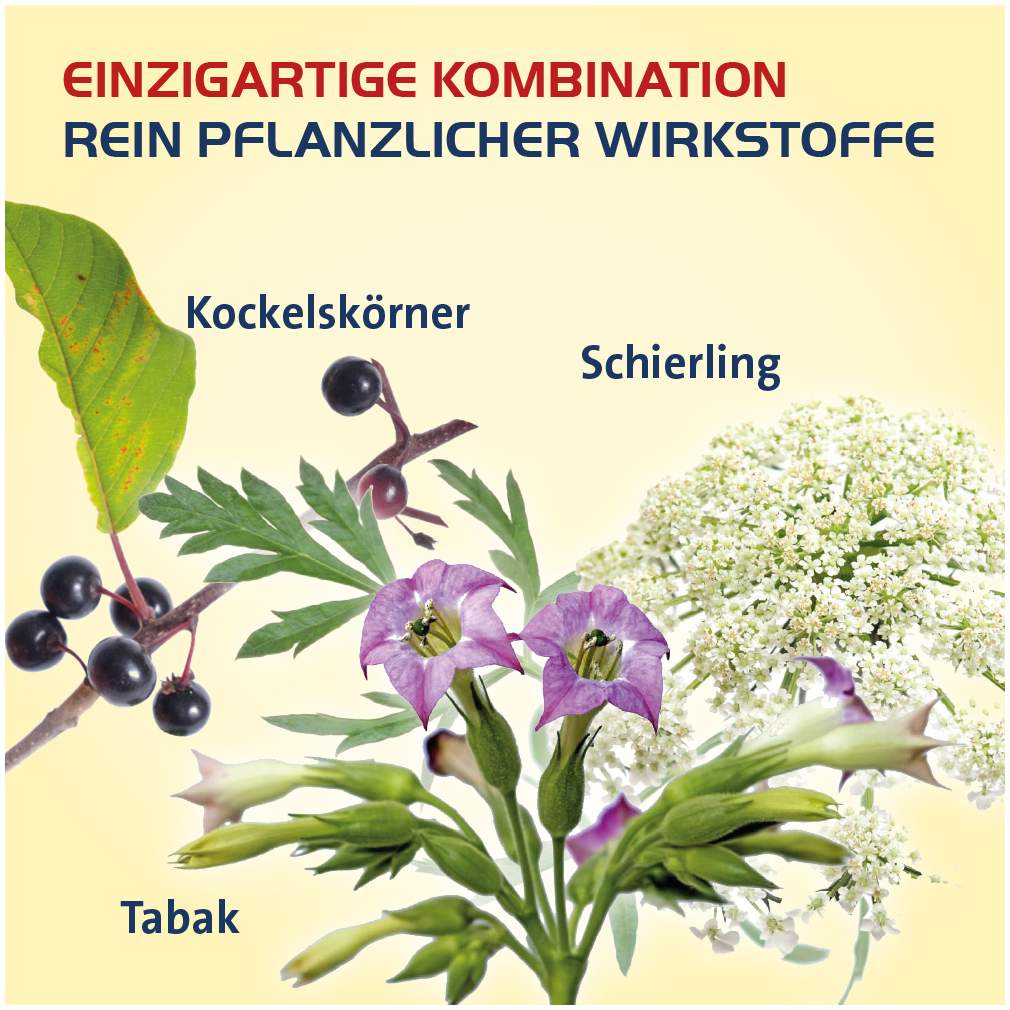 Vertigo Hevert SL 40 Tabletten bei Schwindel