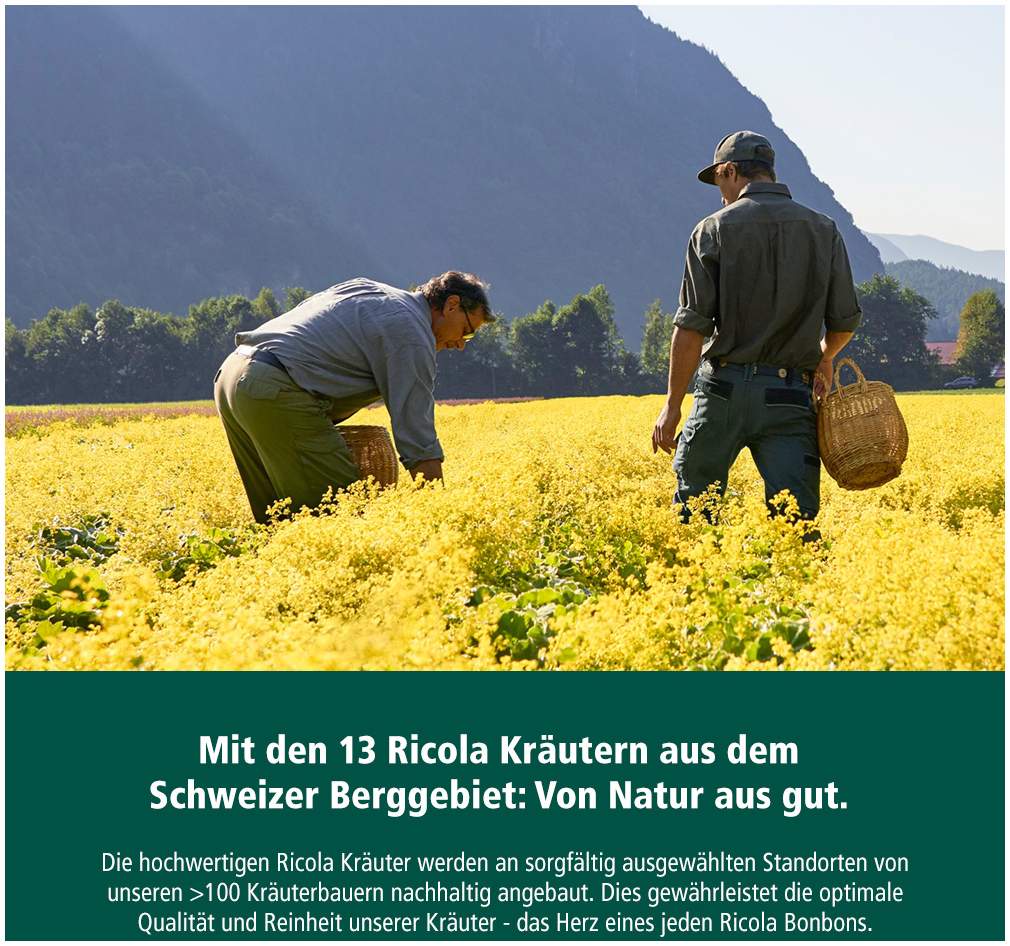 Ricola Box Kräuter zuckerfrei 50 g