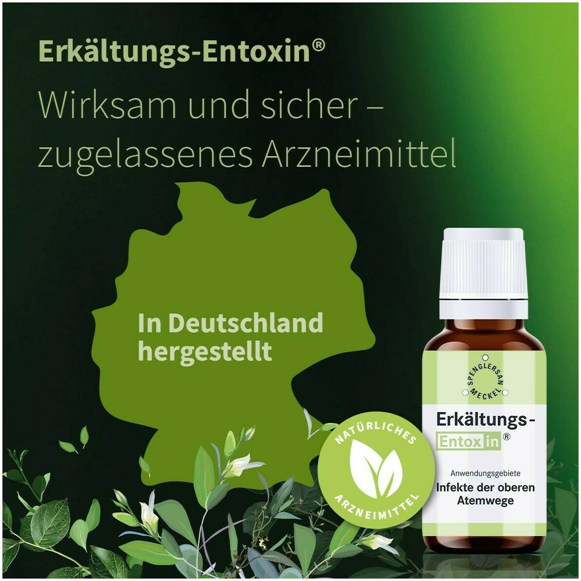Erkältungs Entoxin 100 ml Tropfen