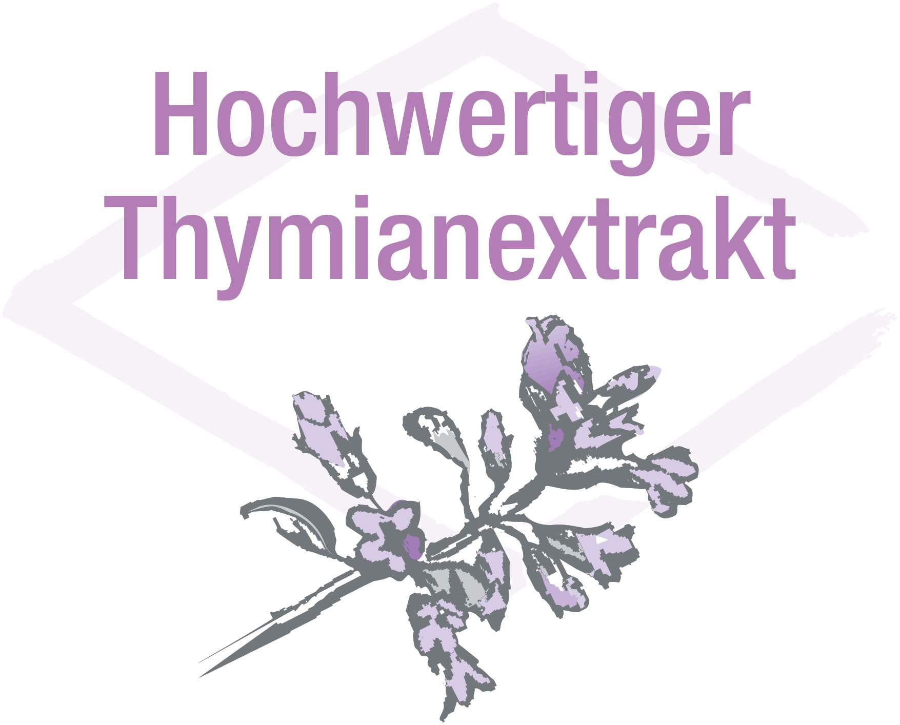 Thymiverlan Flüssigkeit zum Einnehmen 100 ml