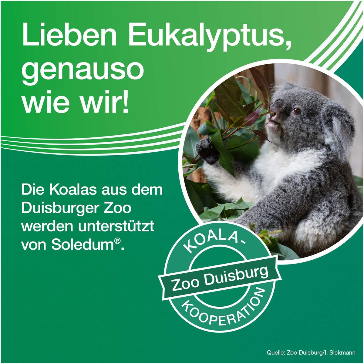 Soledum 100 magensaftresistente Kapseln