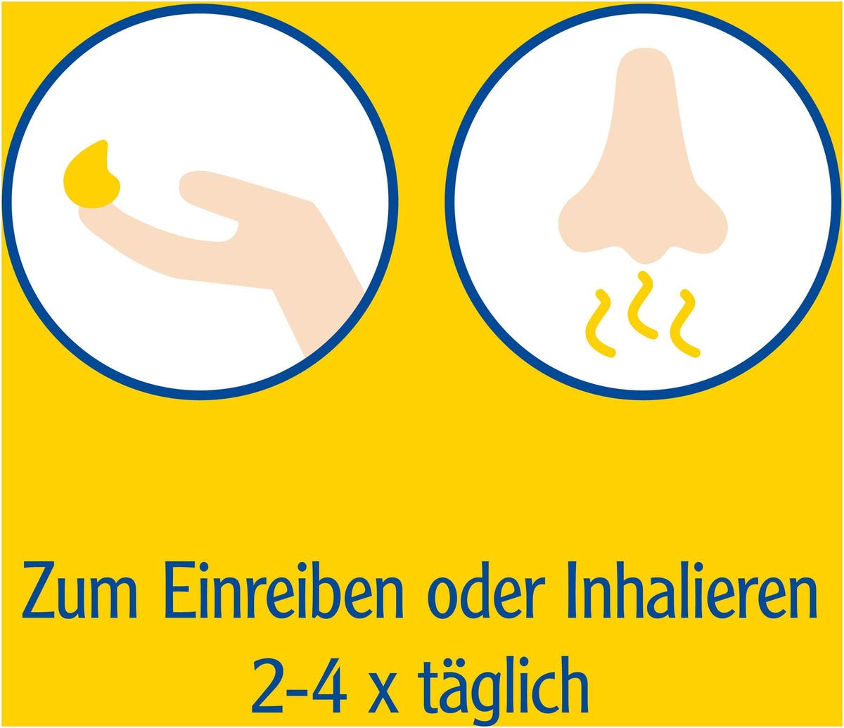 Pinimenthol Erkältungssalbe 100g
