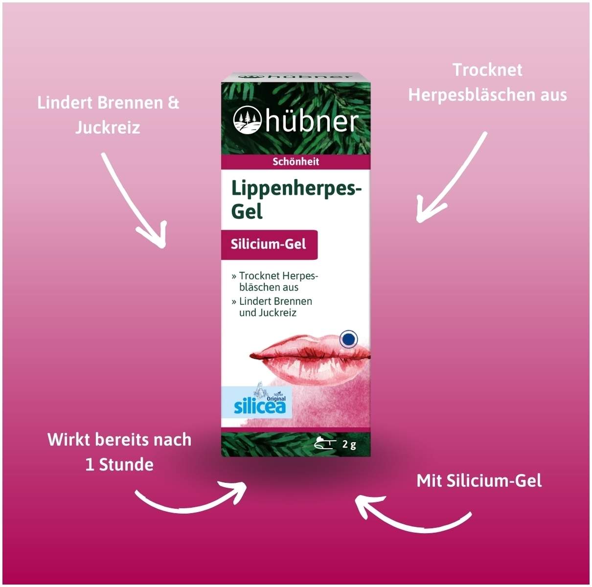 Hübner Lippenherpes-Gel 2g