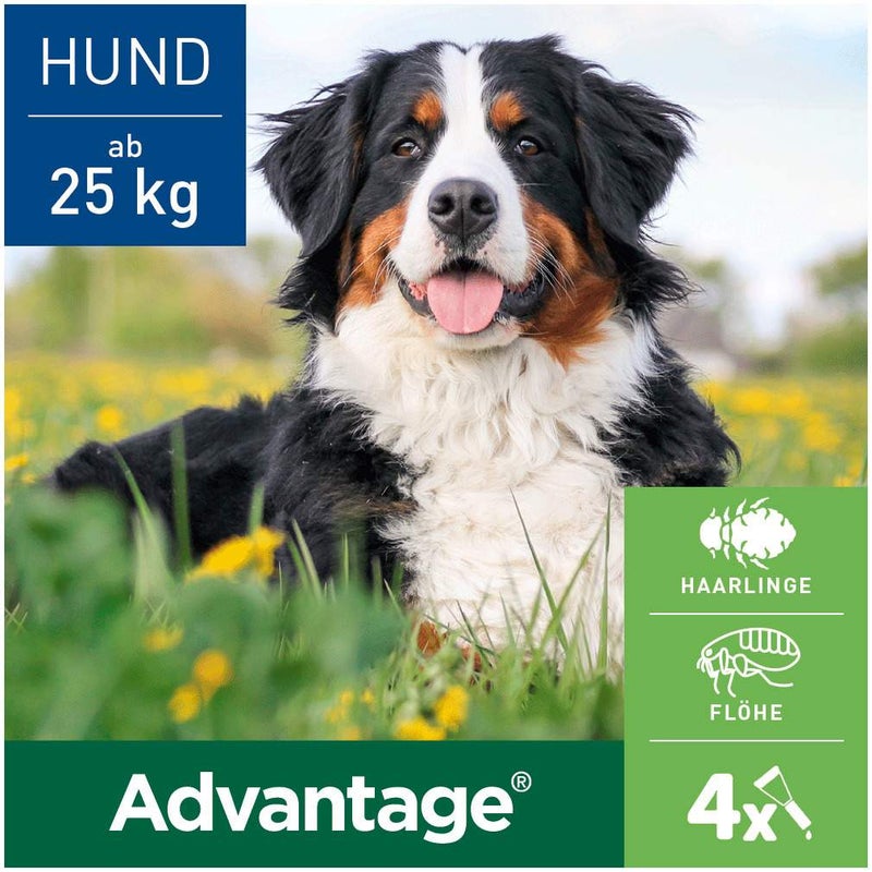 Advantage 400 Lösung Pipetten für Hunde ab 25 kg 4 Einzeldosispipetten