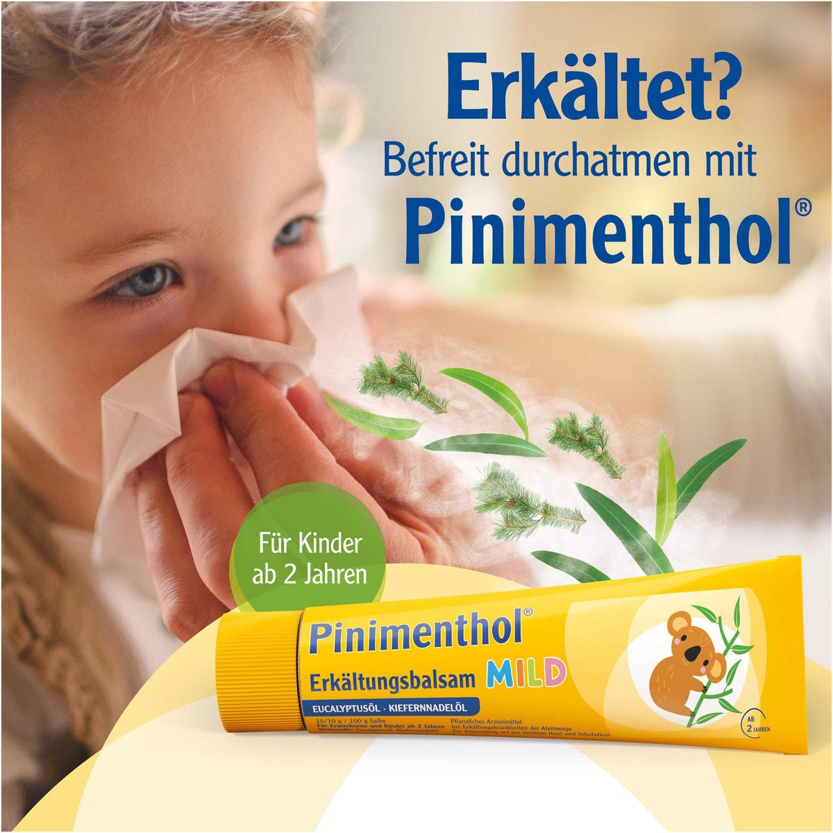Pinimenthol mild Erkältungsbalsam 50 g