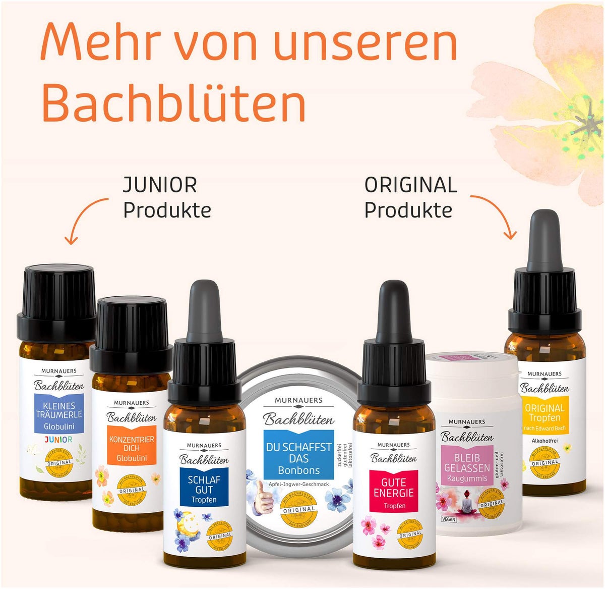 Bachblüten Konzentrier Dich 10 G Globulini
