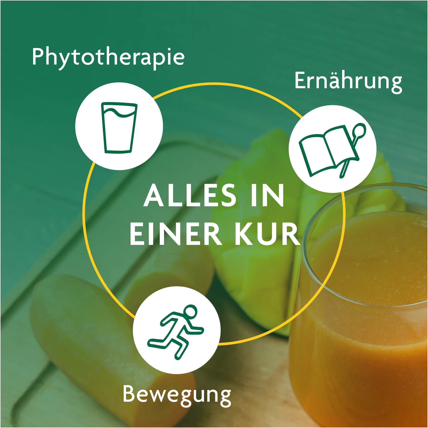 Schlankheits-Kur Möhre-Mango