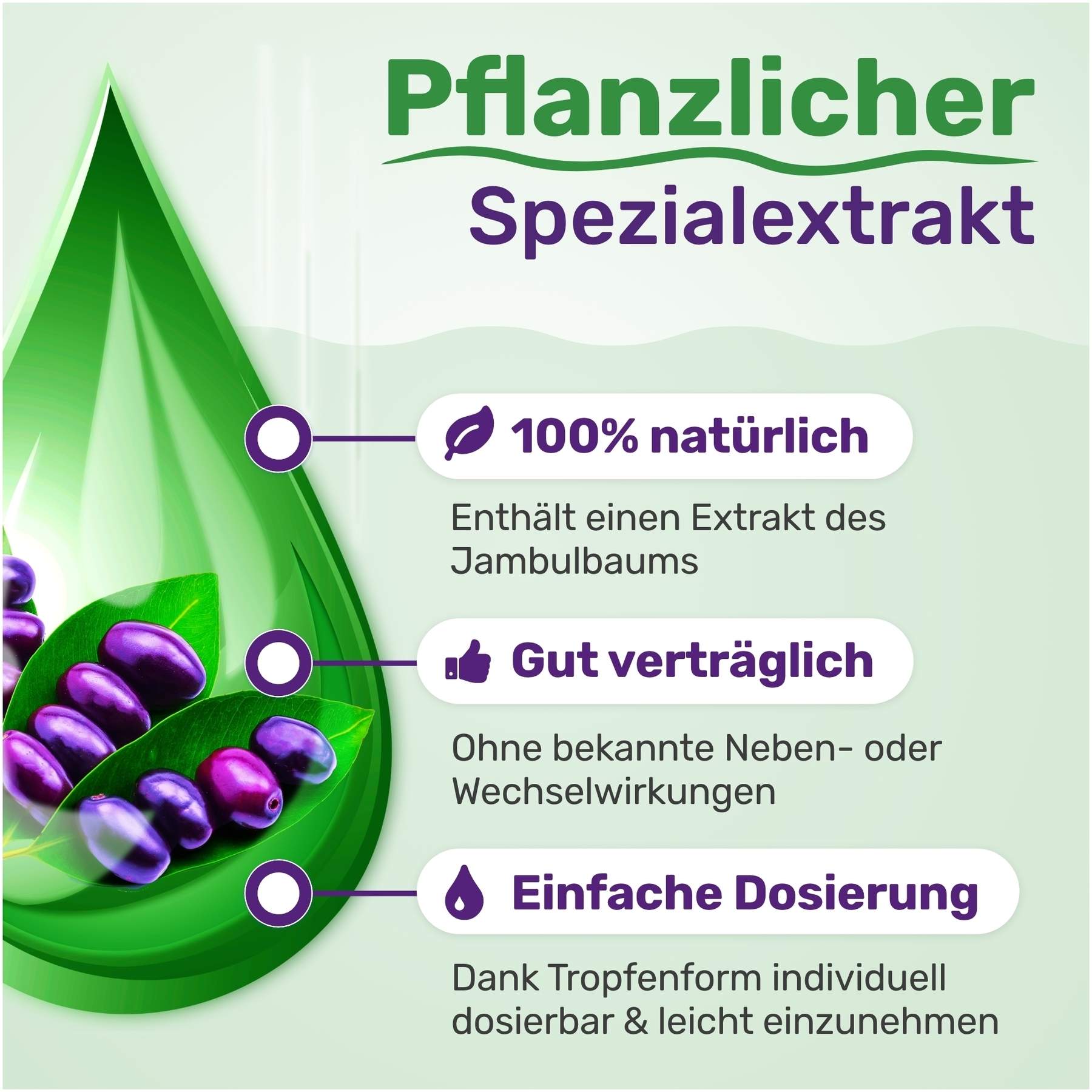 Glycowohl  pflanzliche Tropfen bei Diabetes 50 ml