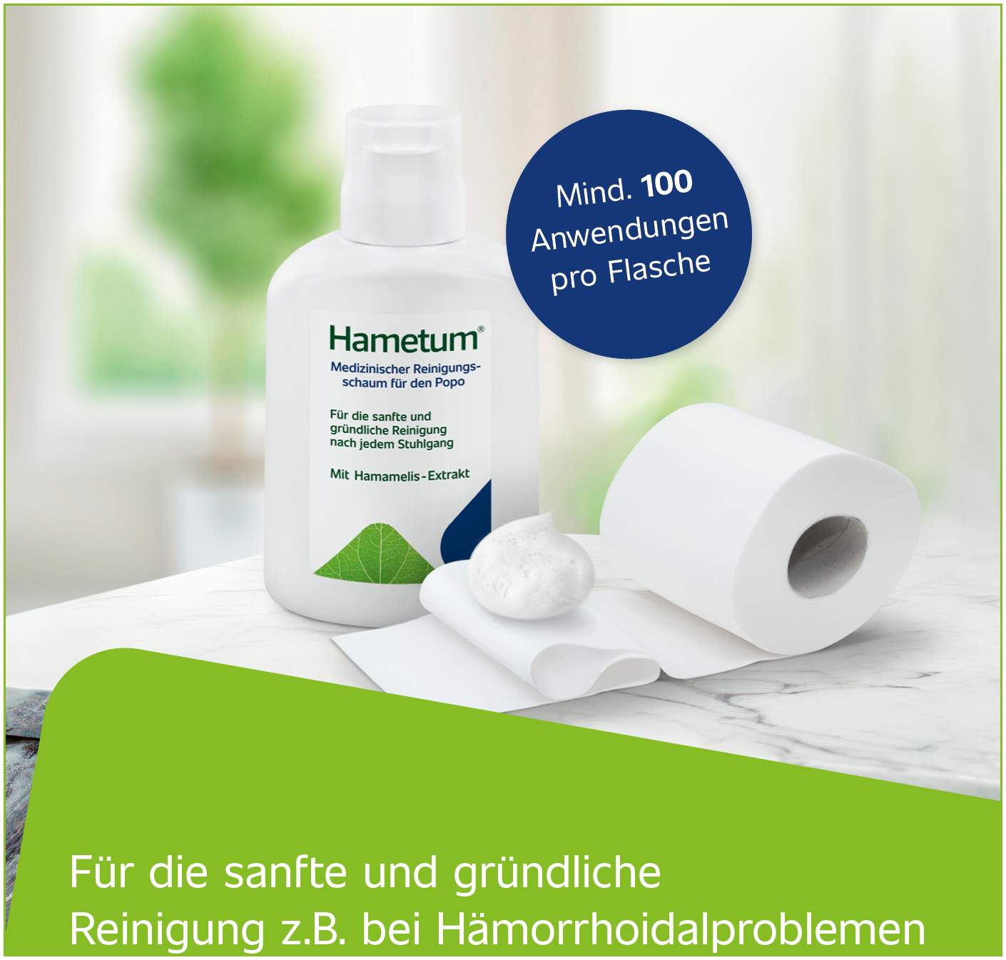 Hametum Medizinischer Reinigungsschaum 100 ml