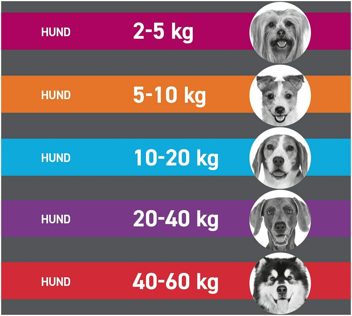 Frontline TRI-ACT Hund 20-40 kg 3 Pipetten