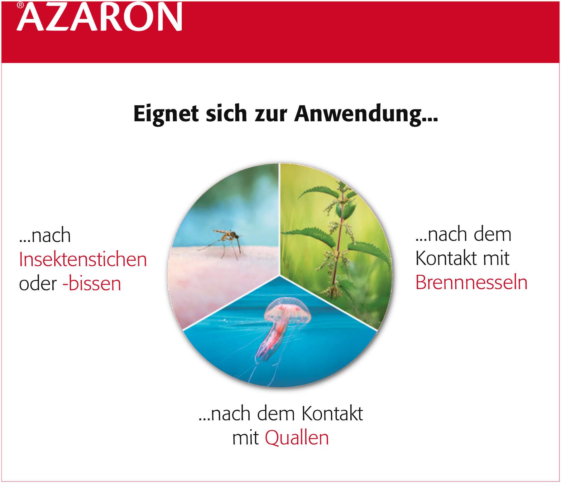 Azaron Stift 5,75 g