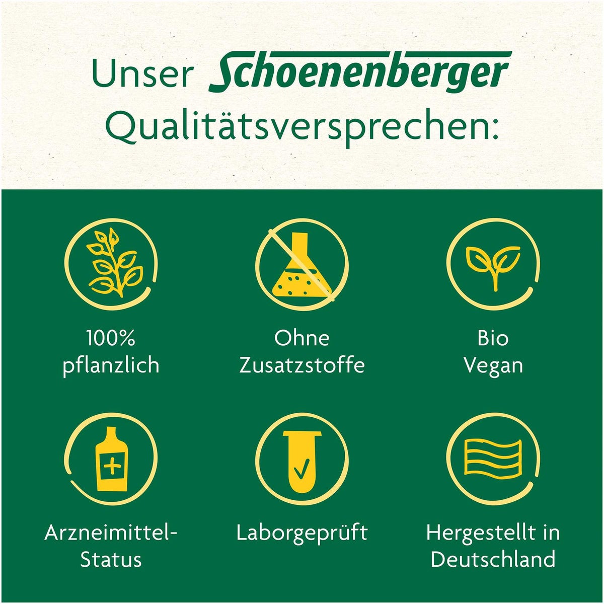Birkensaft Schoenenberger 200 ml Saft