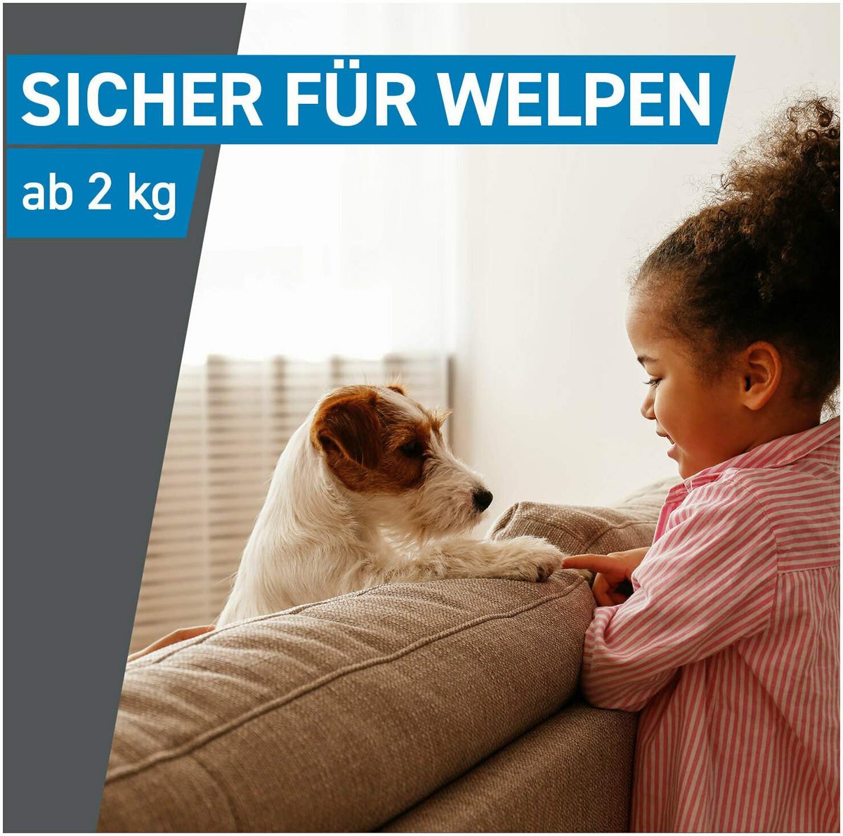 Frontline Spot On Hund L 20-40 kg 6 Pipetten