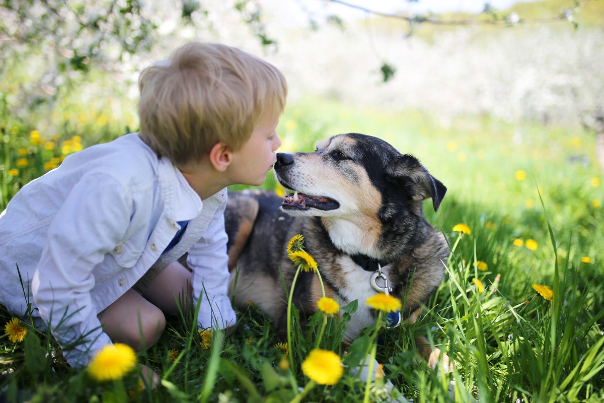 Würmer beim Hund: So verhalten Sie sich richtig