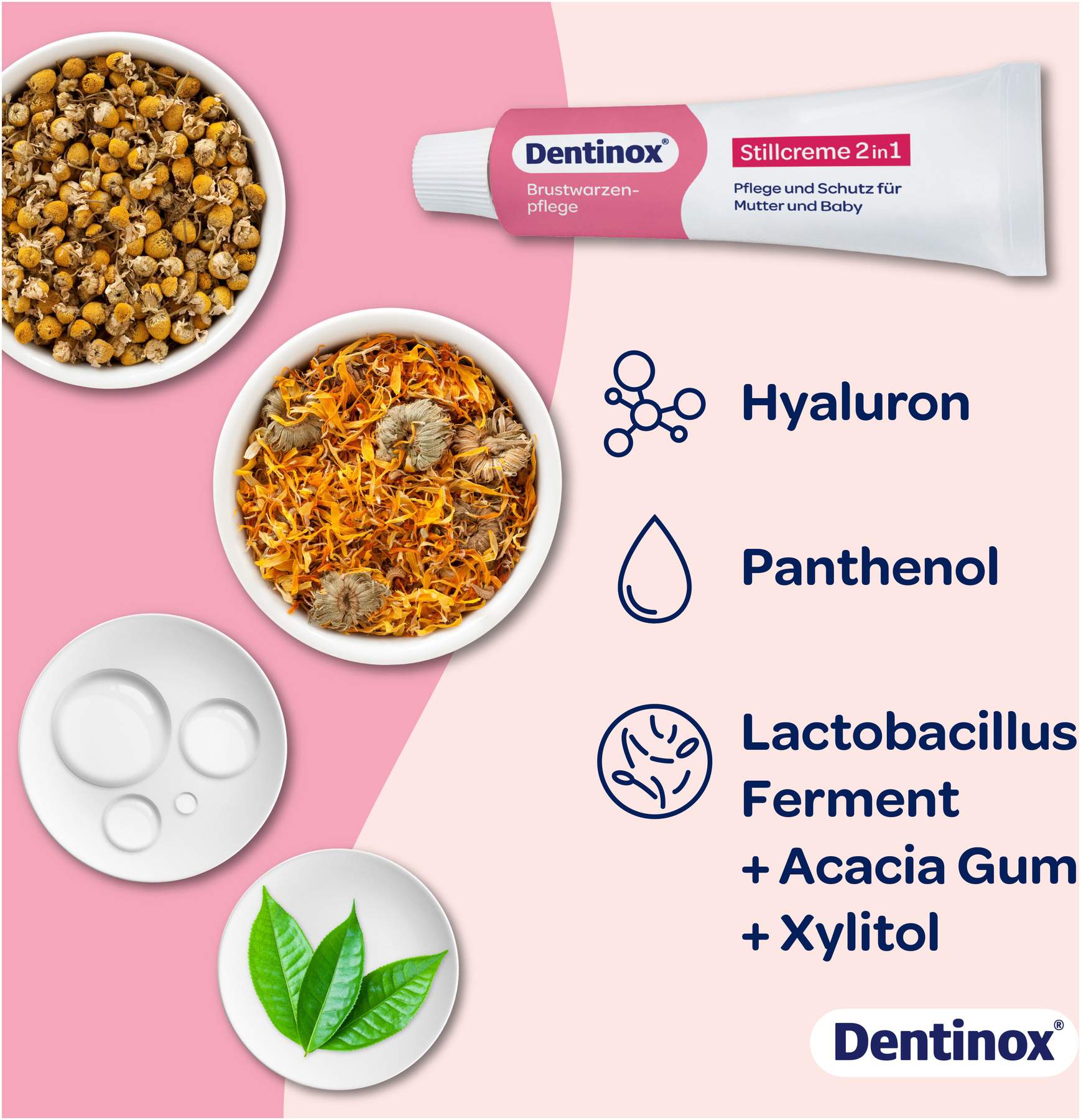 Dentinox Stillcreme 2in1 30 ml