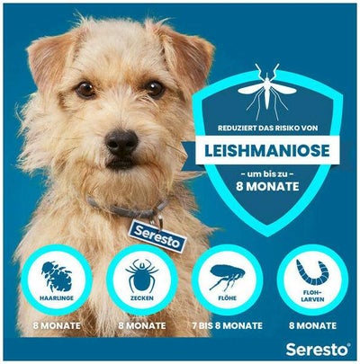 Seresto Halsband für kleine Hunde 1 Stück