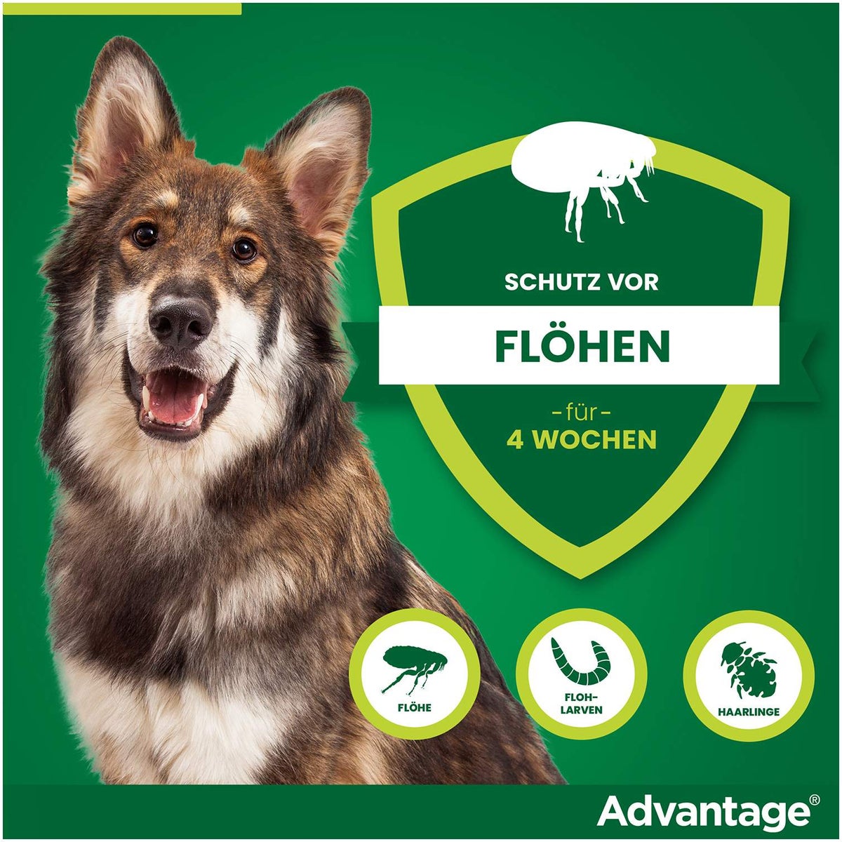 Advantage 400 Lösung Pipetten für Hunde ab 25 kg 4 Einzeldosispipetten