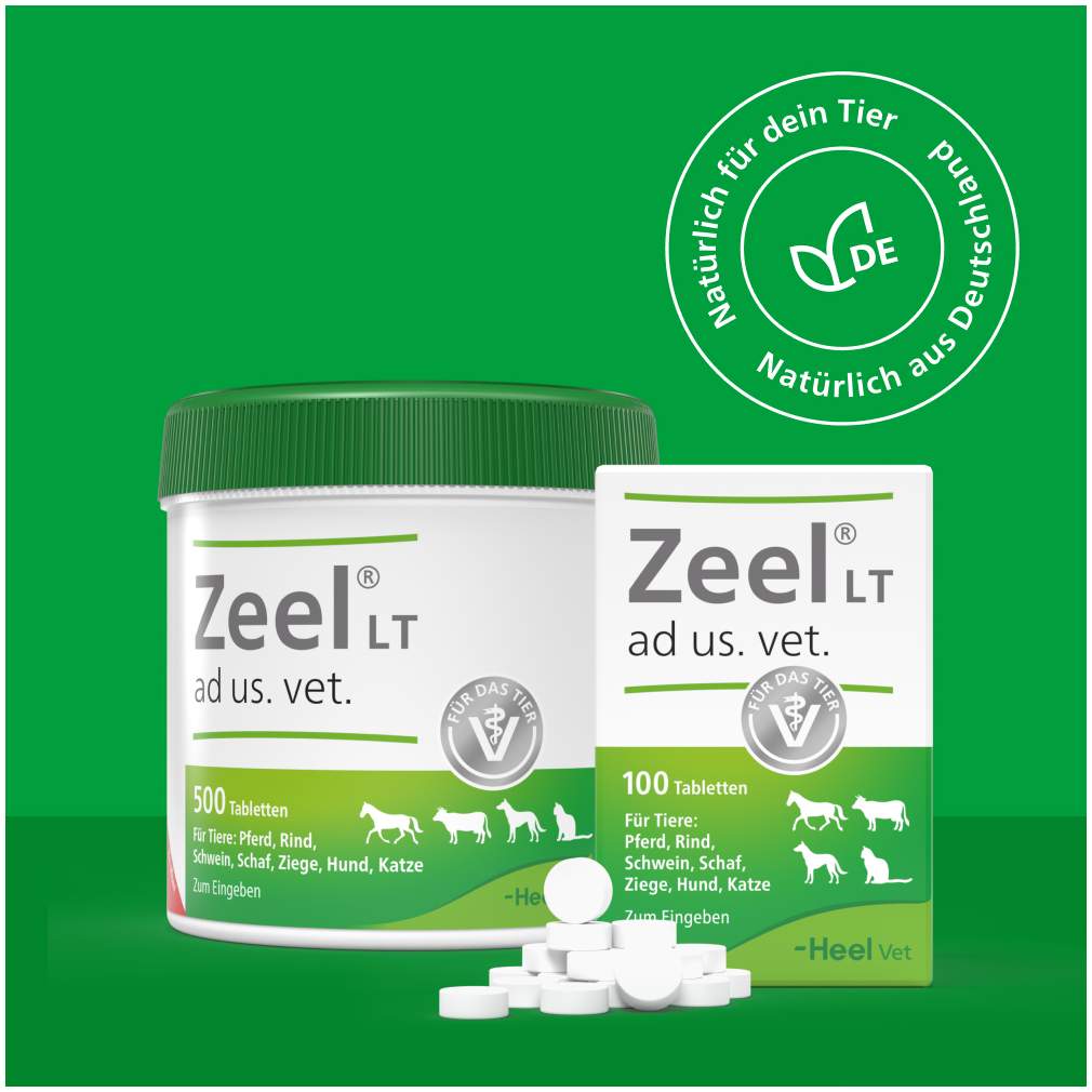 Zeel Lt Ad Us.Vet. 100 Tabletten