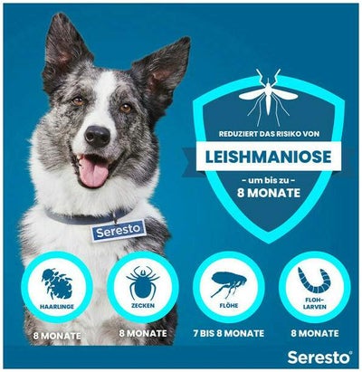 Seresto Halsband für große Hunde 1 Stück
