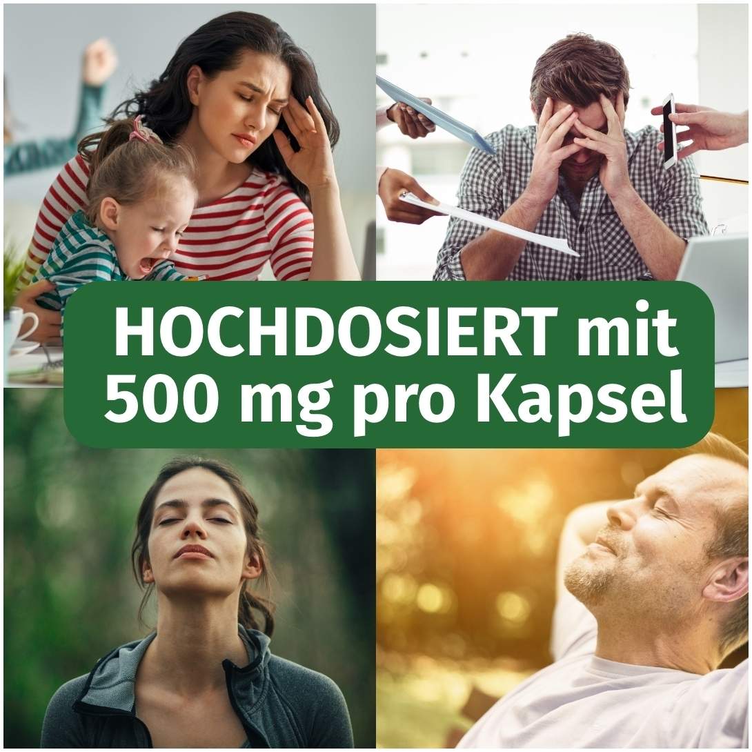 Green Naturals Rhodiola Rosea 500 mg Hochdosiert 120 Kapseln