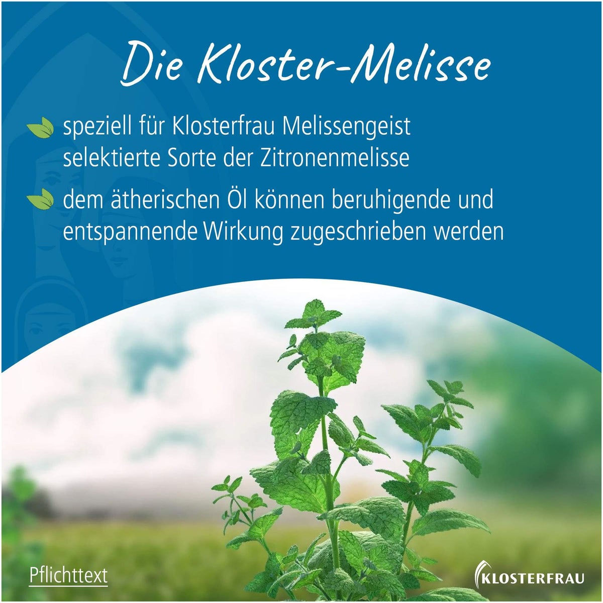 Klosterfrau Melissengeist 235 ml Flüssigkeit