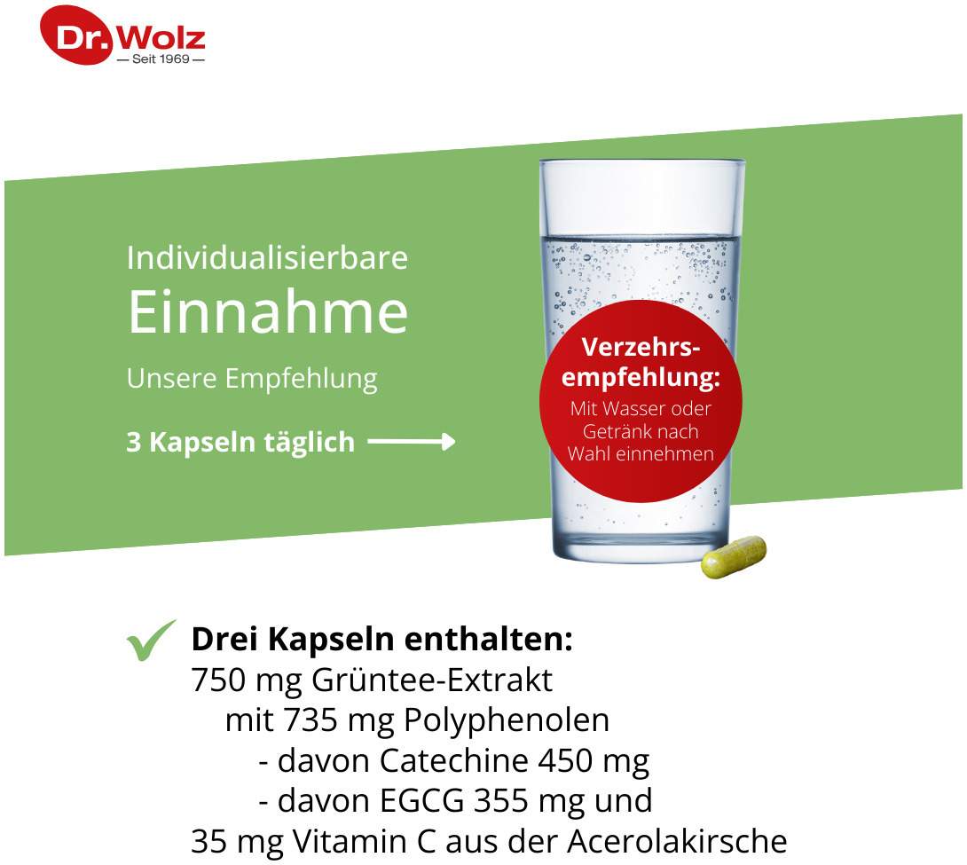 Grüntee Extrakt Dr.Wolz 120 Kapseln