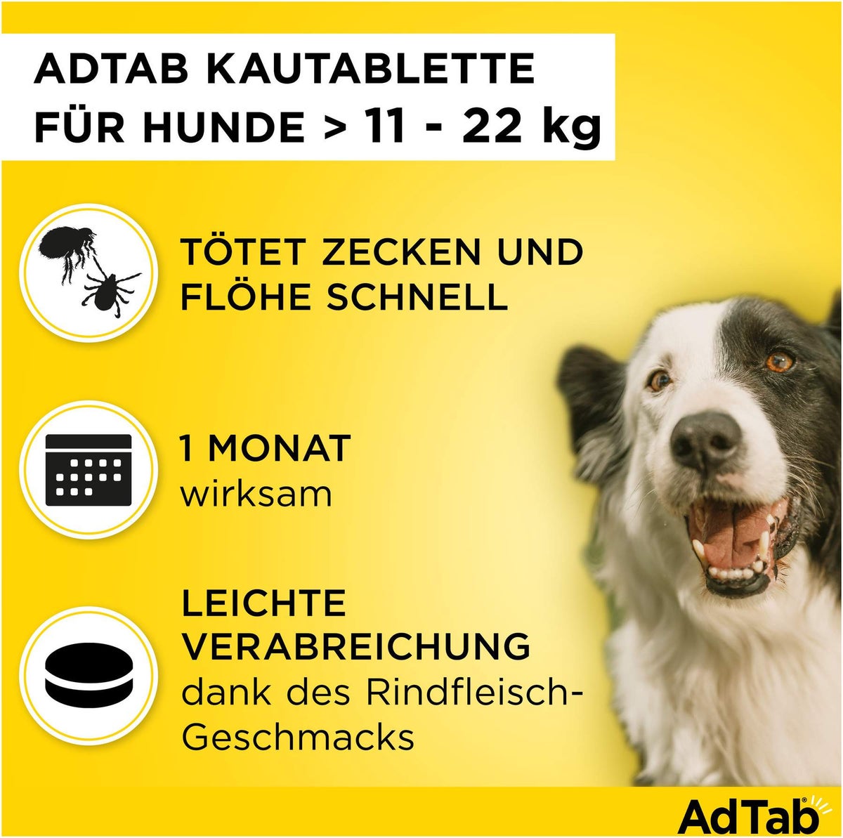 AdTab 450 mg für große Hunde (11-22 kg) 3 Kautabletten