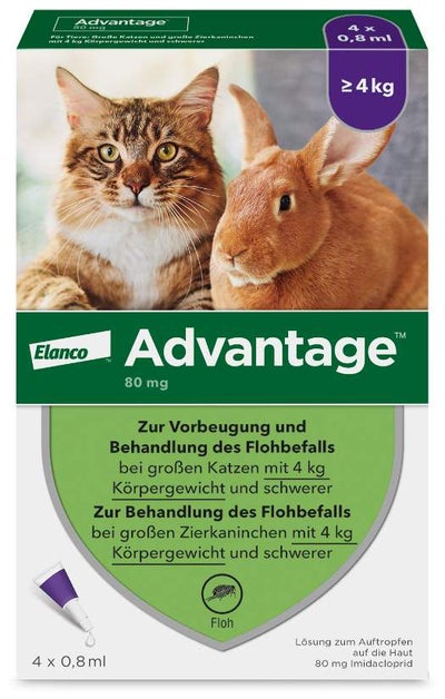 Advantage 80 mg für Katzen und Zierkaninchen über 4 kg 4 x 0,8 ml Lösung
