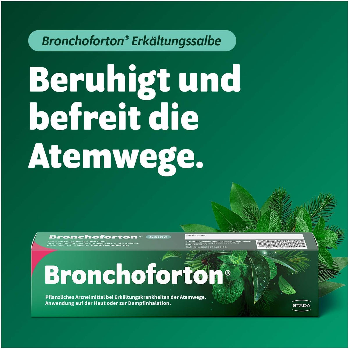 Bronchoforton Salbe 100 g