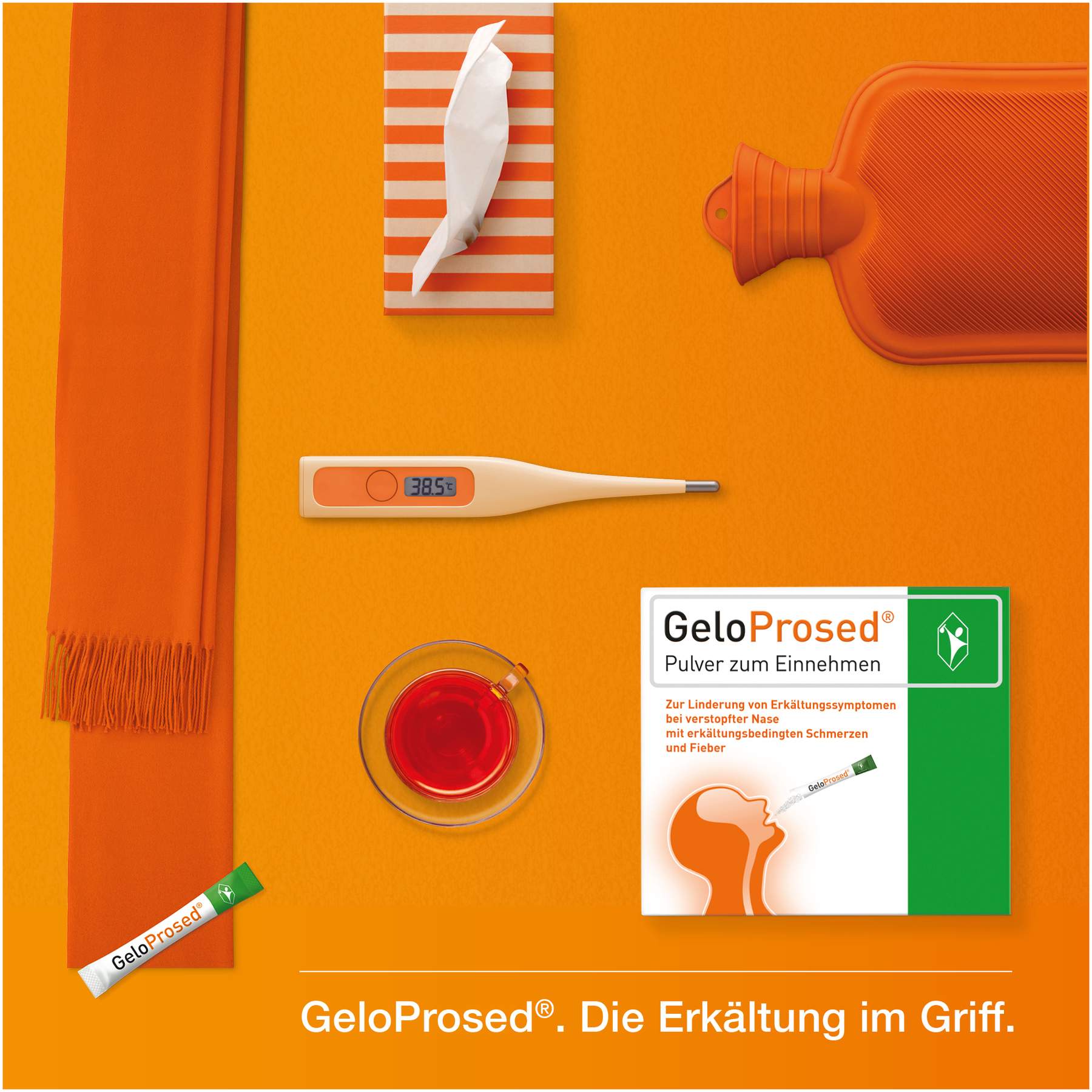Geloprosed Pulver zum Einnehmen 2 x 10 Beutel