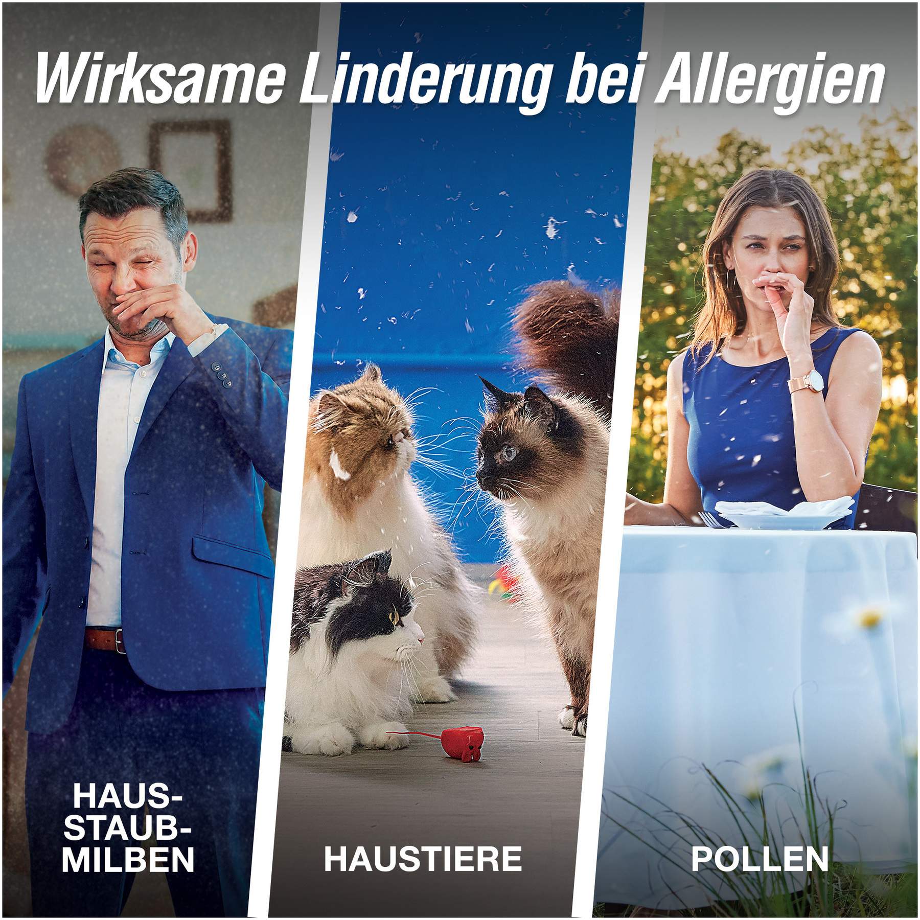 Allergodil Akut Augentropfen 6 ml Augentropfen