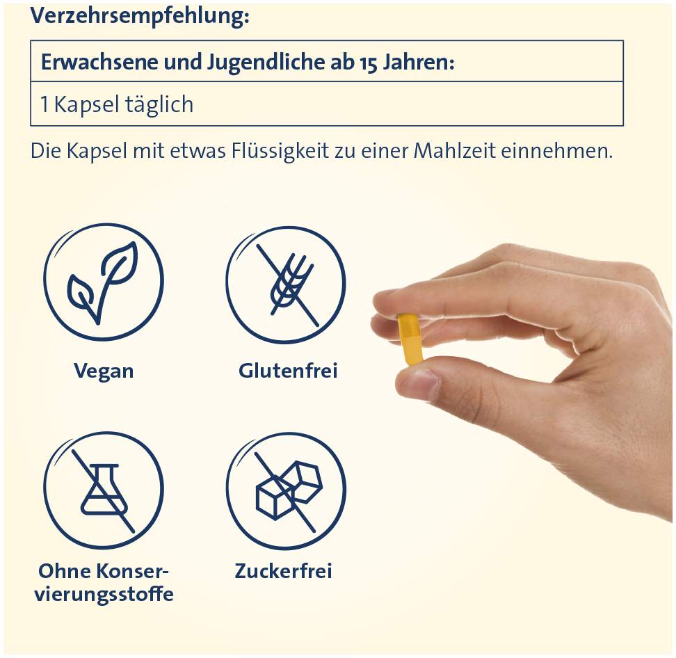 Vitamin B complete Hevert all-in-one 60 Kapseln