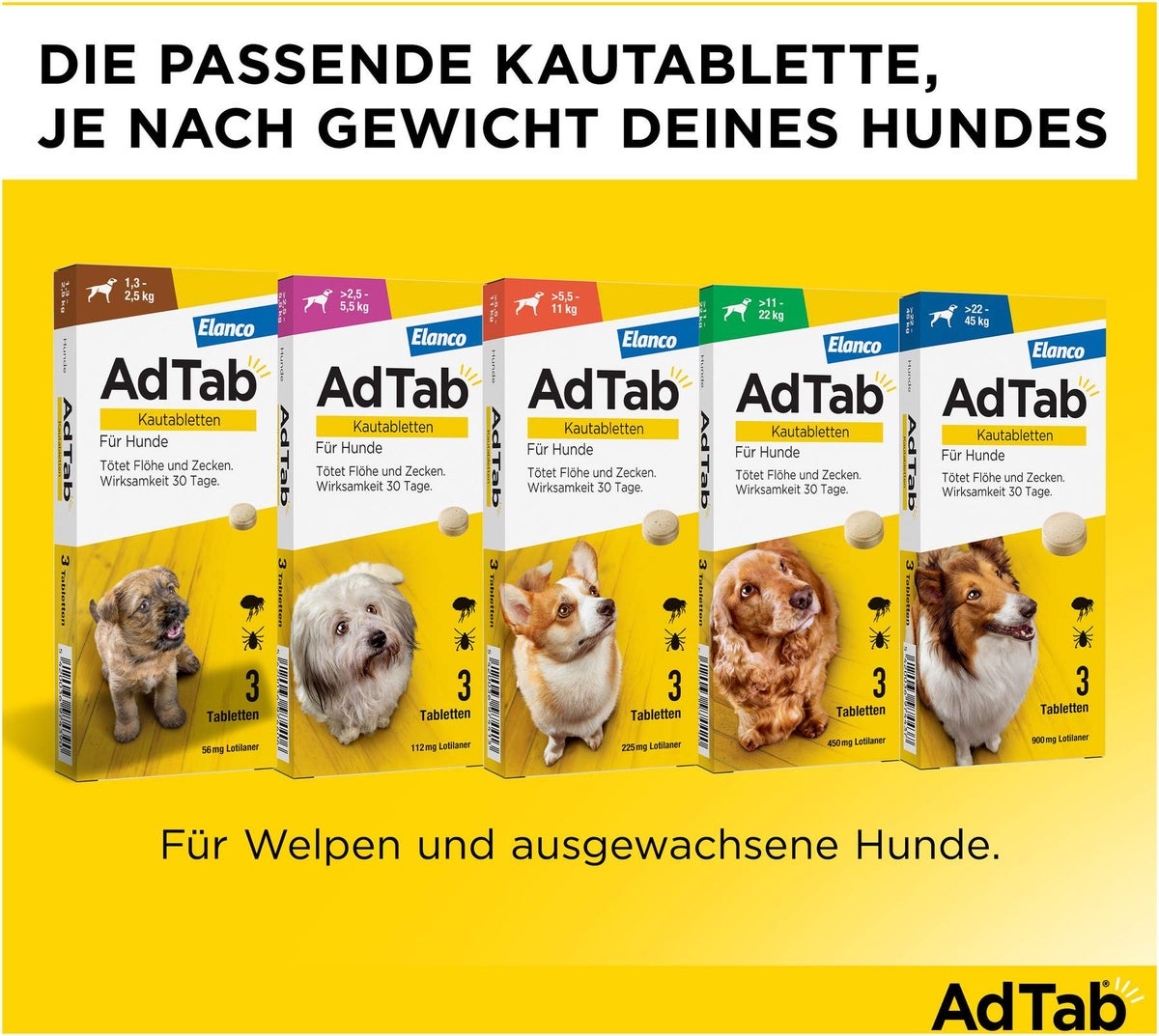 AdTab 900 mg für sehr große Hunde (22-45 kg) 3 Kautabletten