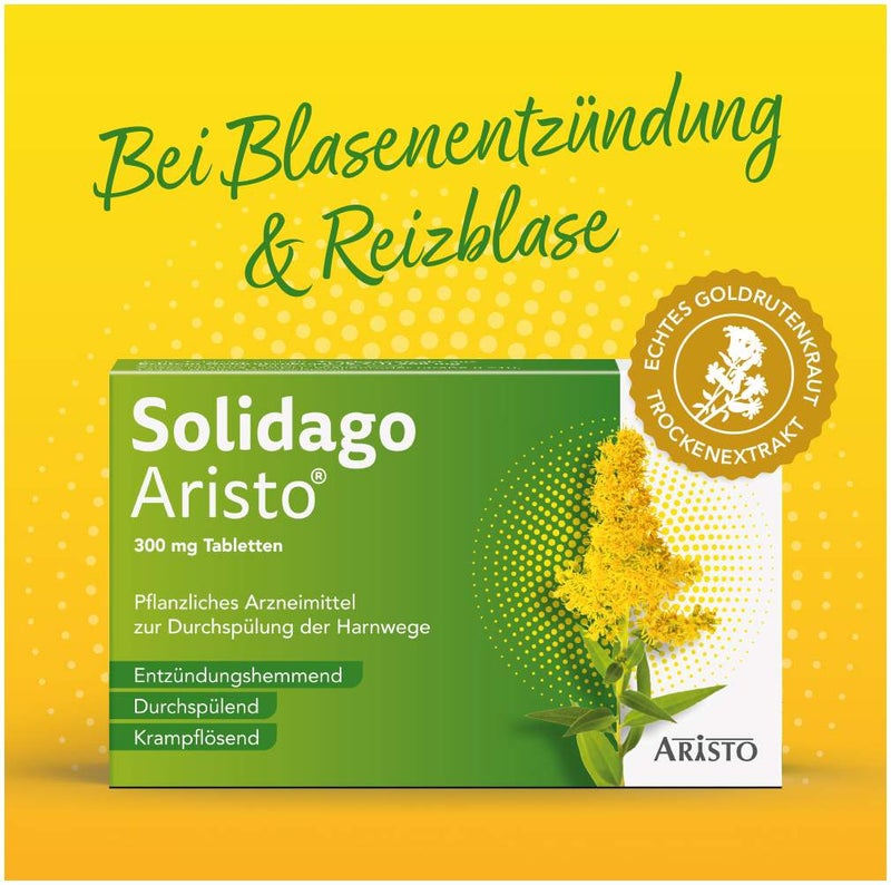 Solidago Aristo 300 mg Tabletten 60 Stück
