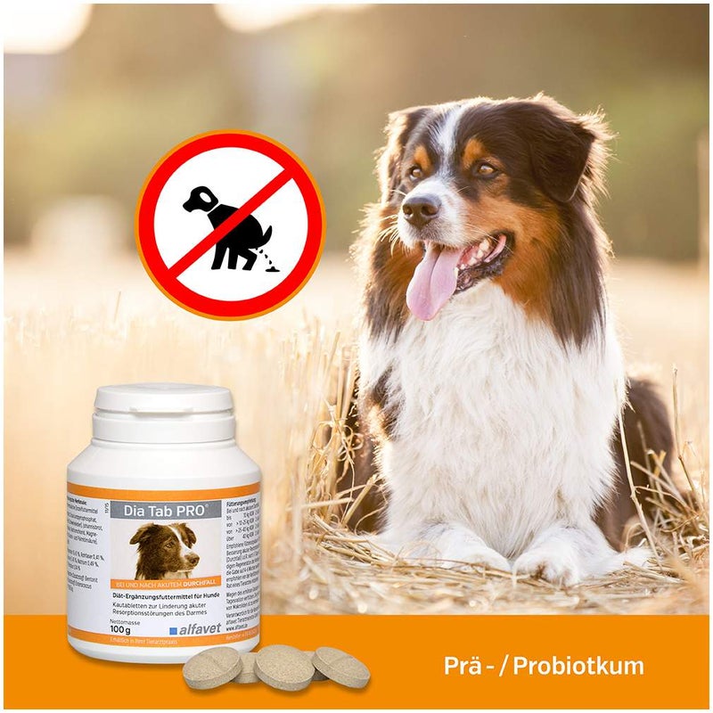 Dia Tab Pro Kautabletten für Hunde und Katzen 100 g