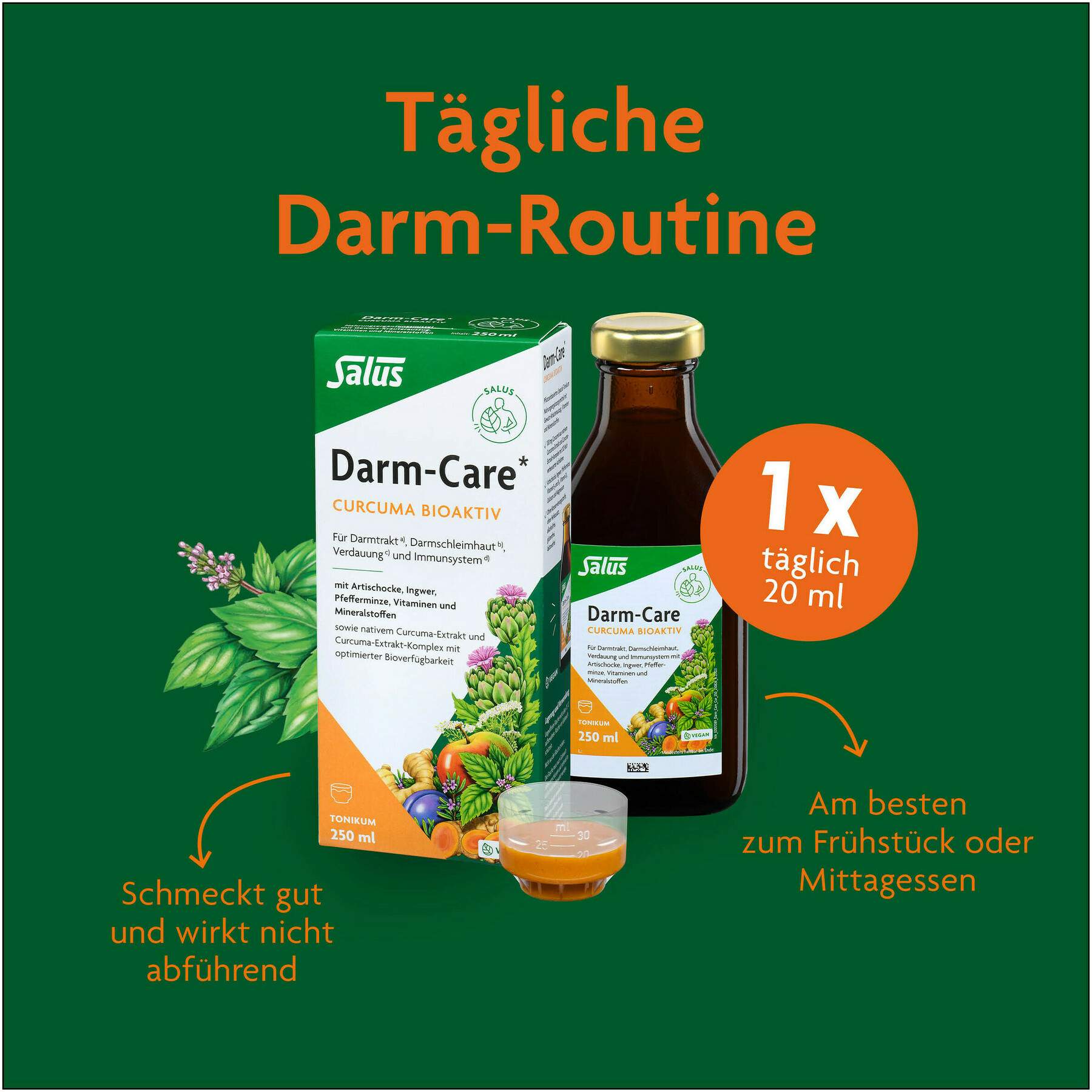 Salus Darm-Care Curcuma Bioaktiv Tonikum 250 ml