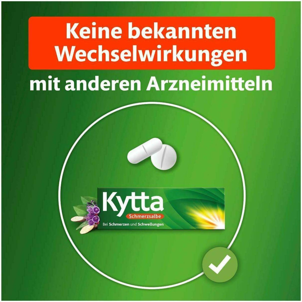 Kytta Schmerzsalbe 150 g Creme
