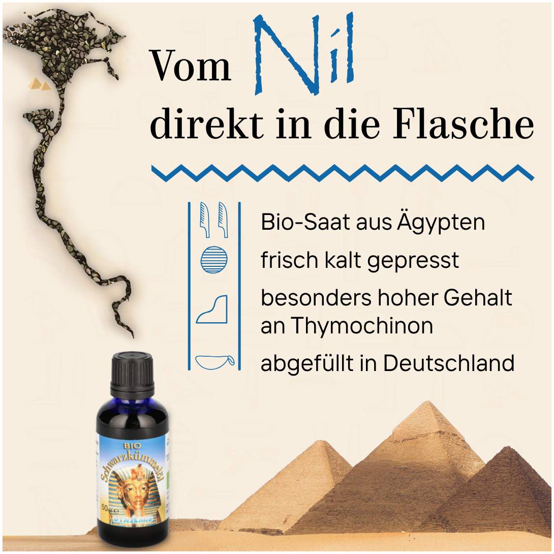 Schwarzkümmel Bio Ägypt. Öl 50 ml
