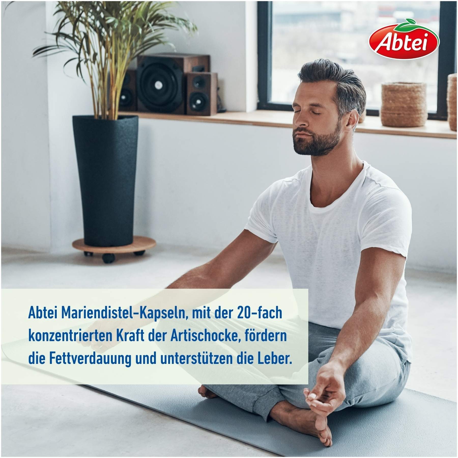 Abtei Mariendistel Plus Mit Artischocke 30 Kapseln