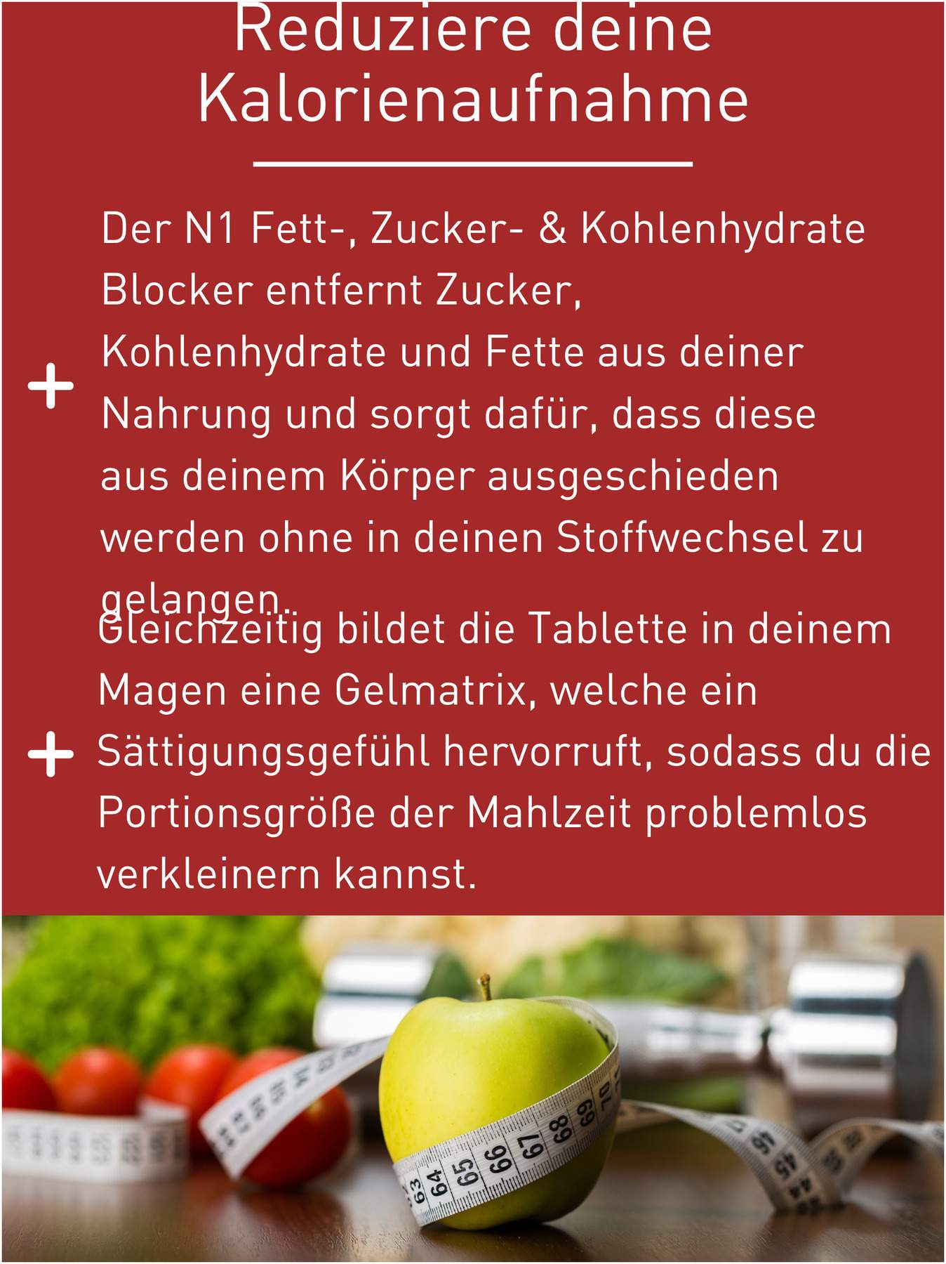 N1 Fett- Zucker- & Kohlenhydrate Blocker 45 Tabletten
