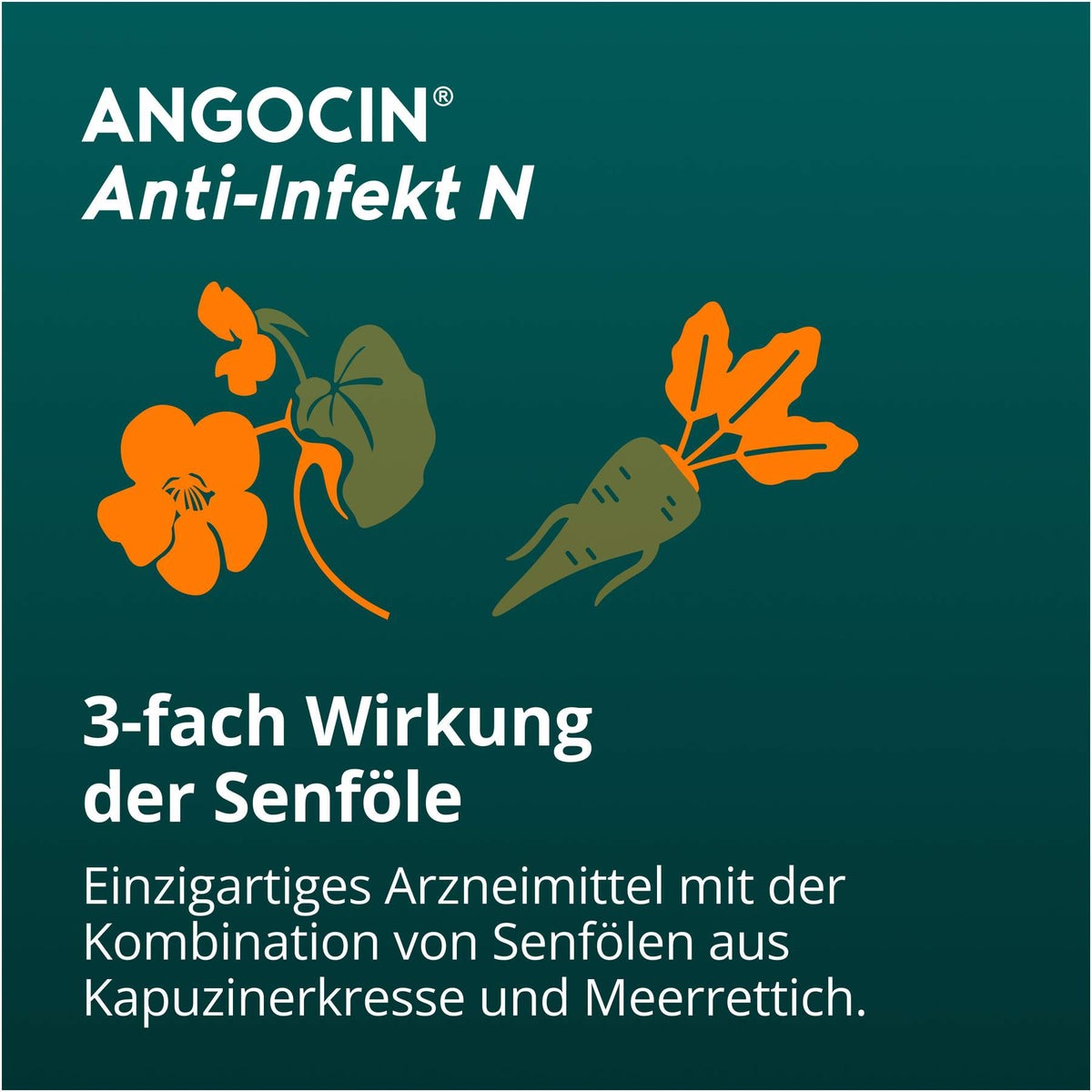 Angocin Anti Infekt N 50 Filmtabletten